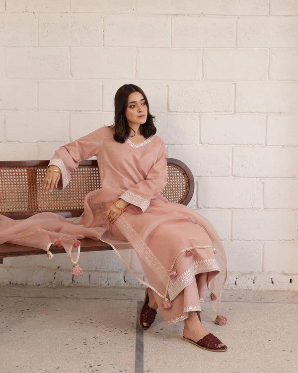 Blush Muse | 3-Piece Stitched Winter Arrival